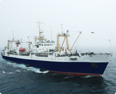 大型冷冻拖网渔船《海参崴》