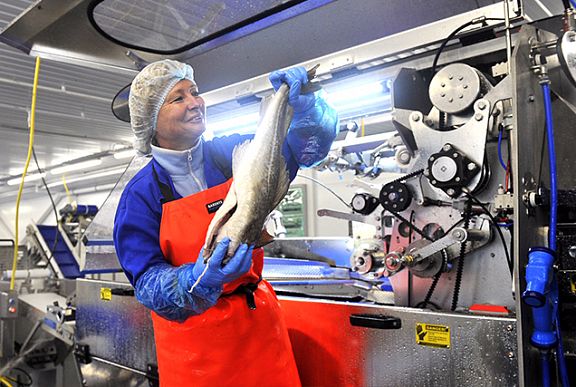 RFC commissioned a fish processing plant in Murmansk