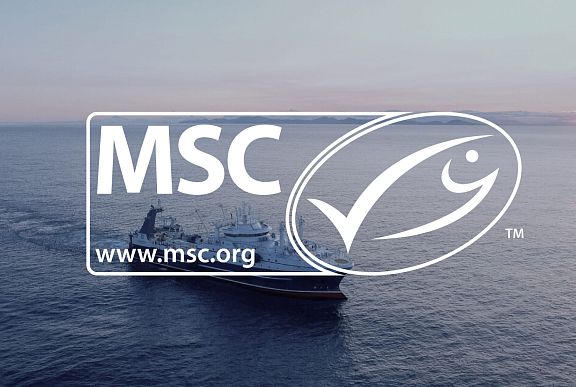 The fishery of RFC as a member of FSA certified for compliance with MSC standards