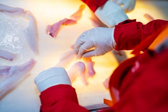 Russian Fishery Company confirmed a high level of its products food safety
